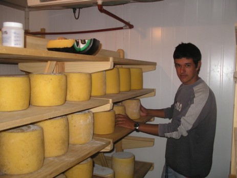 USPV - Scuola di formaggi - Melo (Uruguay) 